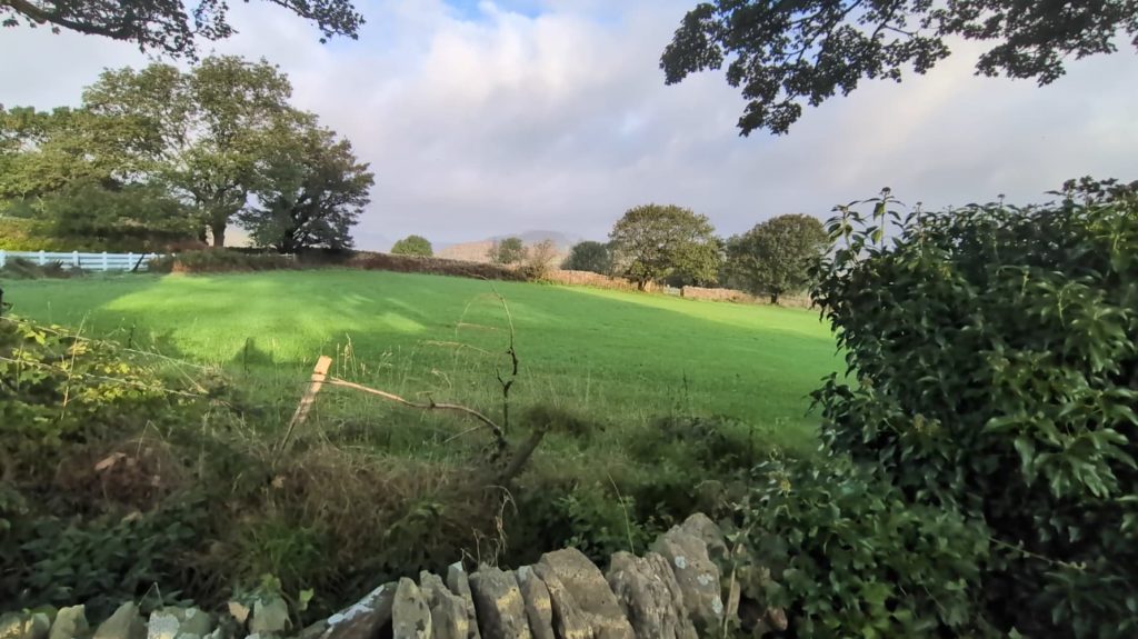 Notes from the uplands